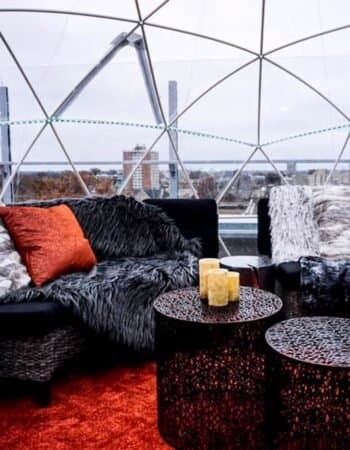 The Roof