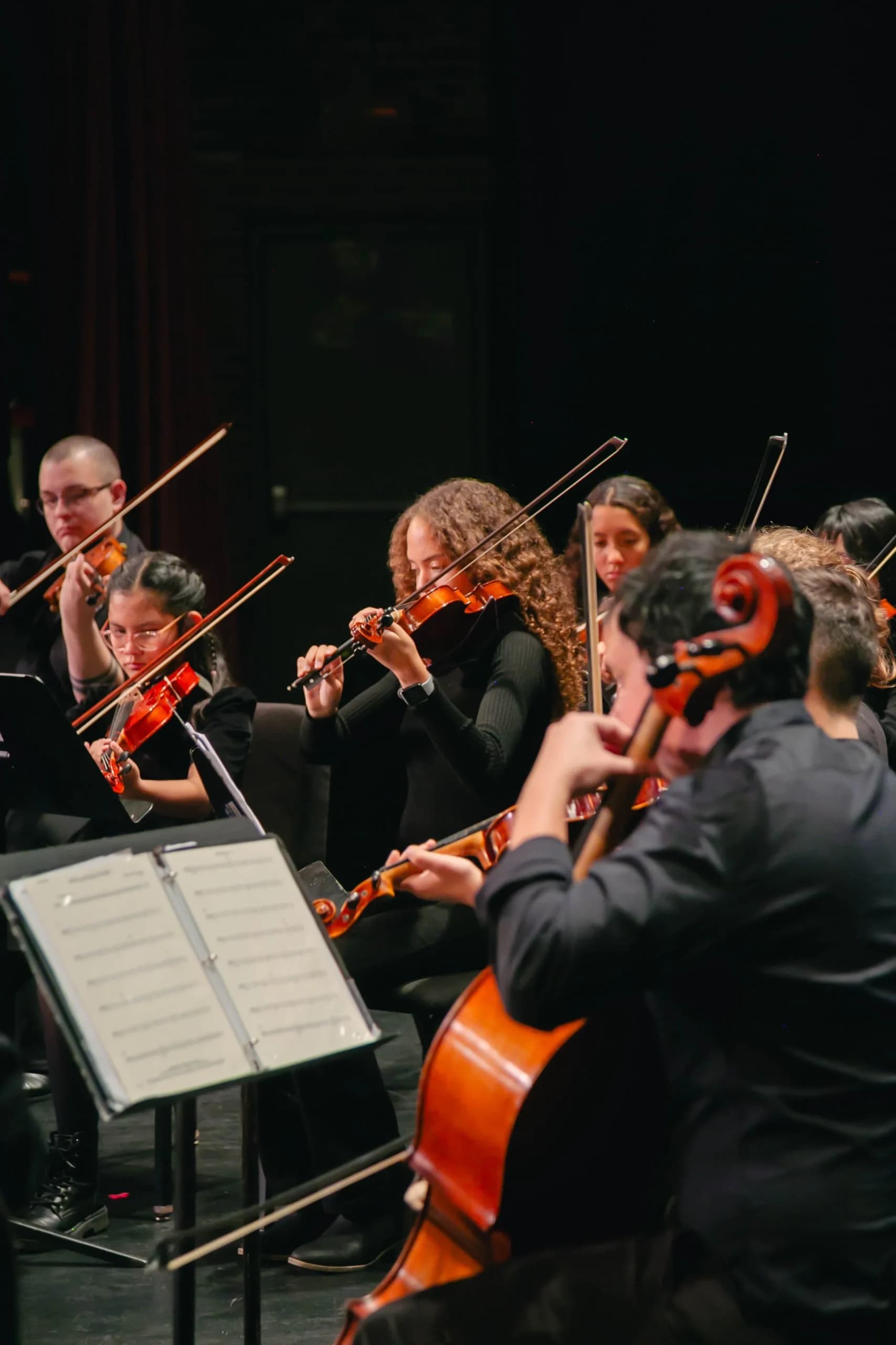 The Missouri Symphony (MOSY)
